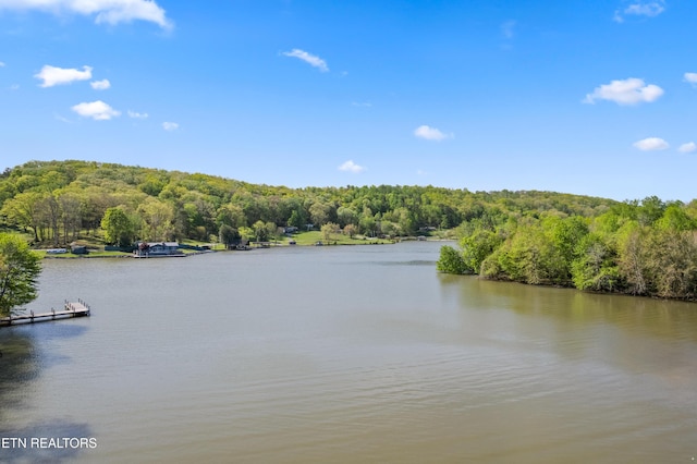 146 Ashton Fields Dr, Lenoir City, TN 37772 - photo 38