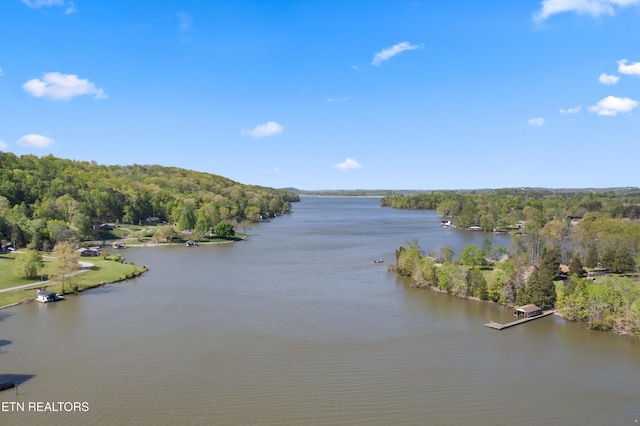 146 Ashton Fields Dr, Lenoir City, TN 37772 - photo 40