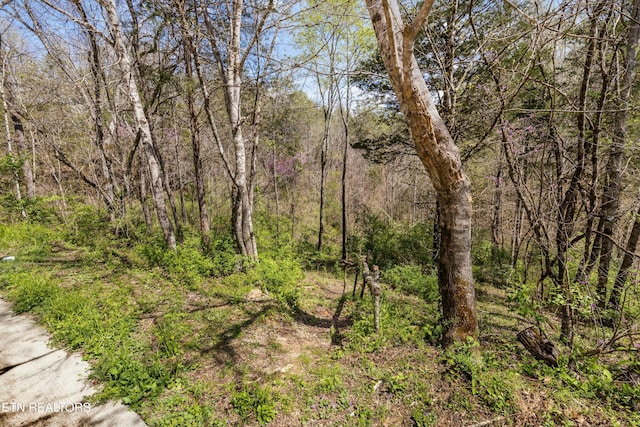 view of nature with a wooded view