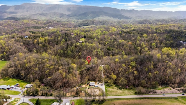 bird's eye view with a view of trees and a mountain view