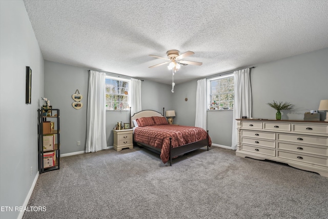 230 Briarcliff Ave, Oak Ridge, TN 37830 - carpeted bedroom featuring baseboards, multiple windows, and a textured ceiling