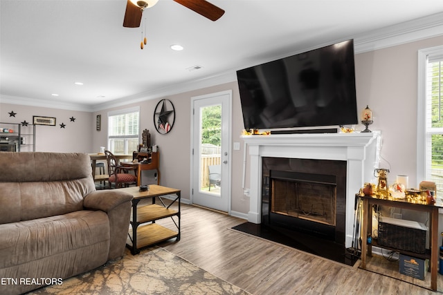 5811 Rain Cloud Rd, Knoxville, TN 37918 - living area featuring wood finished floors, a fireplace with flush hearth, a ceiling fan, recessed lighting, and ornamental molding