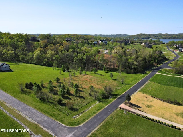 271 W Shore Dr, Rockwood, TN 37854 - photo 8