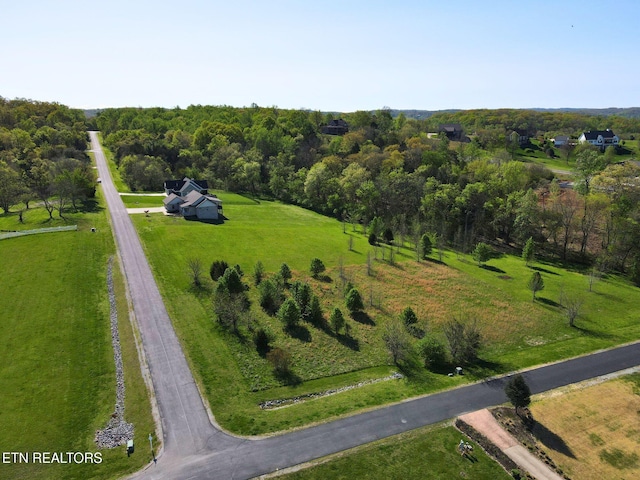 271 W Shore Dr, Rockwood, TN 37854 - photo 9
