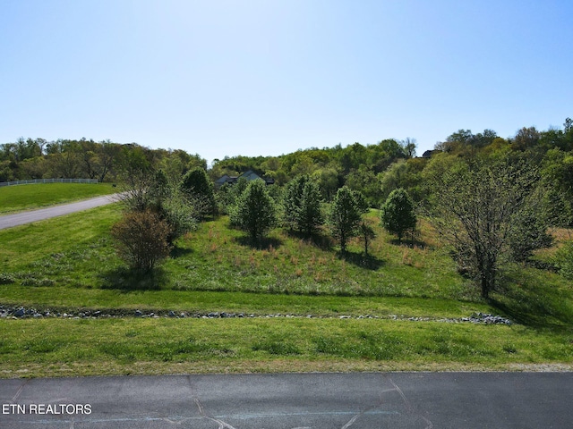 271 W Shore Dr, Rockwood, TN 37854 - photo 6