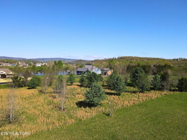 271 W Shore Dr, Rockwood, TN 37854 - photo 14
