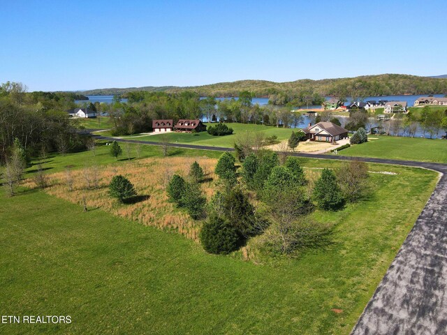 271 W Shore Dr, Rockwood, TN 37854 - photo 12