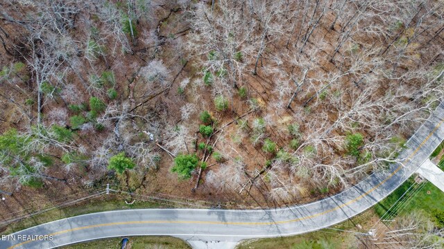 Forest Hills Dr, Crossville, TN 38555 - photo 3