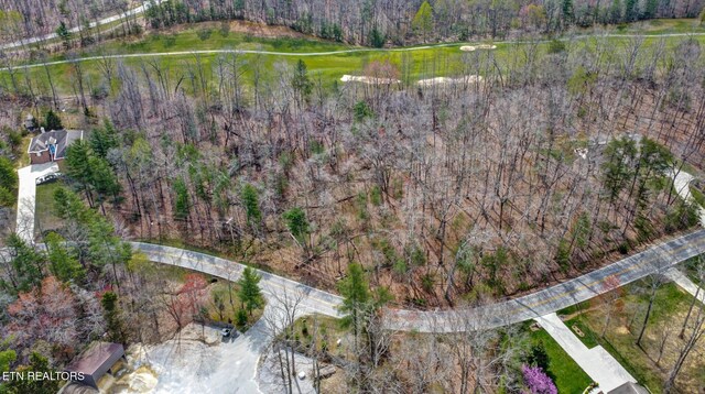 Forest Hills Dr, Crossville, TN 38555 - photo 5