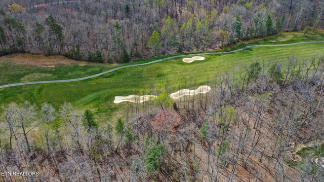 Forest Hills Dr, Crossville, TN 38555 - photo 6