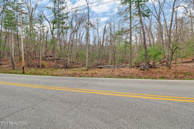 Forest Hills Dr, Crossville, TN 38555 - photo 10