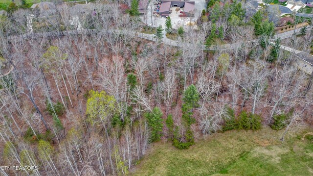 Forest Hills Dr, Crossville, TN 38555 - photo 9