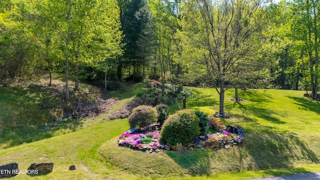 309 River Rd, Andersonville, TN 37705 - photo 7