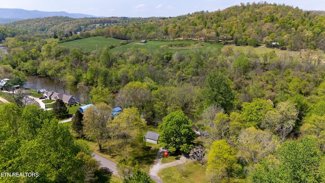 309 River Rd, Andersonville, TN 37705 - photo 8