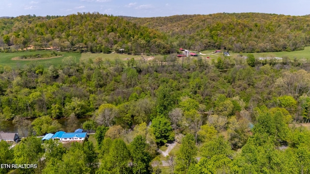 309 River Rd, Andersonville, TN 37705 - photo 9