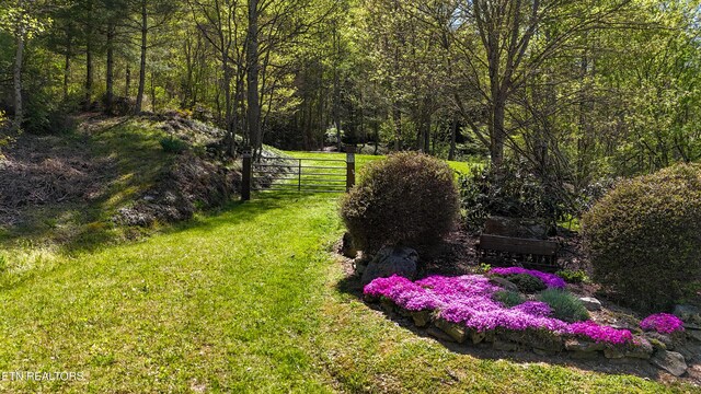 309 River Rd, Andersonville, TN 37705 - photo 39