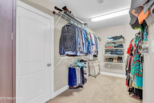 walk in closet with carpet flooring