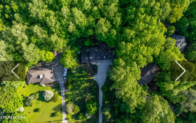 355 E Chestnut Hill Rd, Townsend, TN 37882 - drone / aerial view