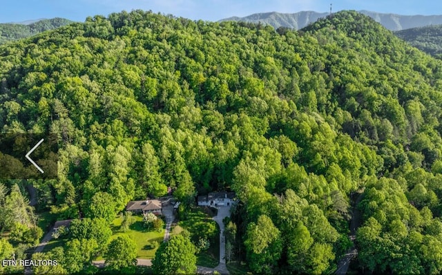 355 E Chestnut Hill Rd, Townsend, TN 37882 - aerial view of property's location featuring a heavily wooded area and mountains