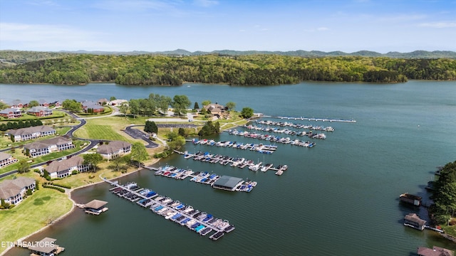 102 Chaloni Ln, Loudon, TN 37774 - drone / aerial view featuring a wooded view and a water and mountain view