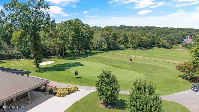 102 Chaloni Ln, Loudon, TN 37774 - view of community featuring view of golf course