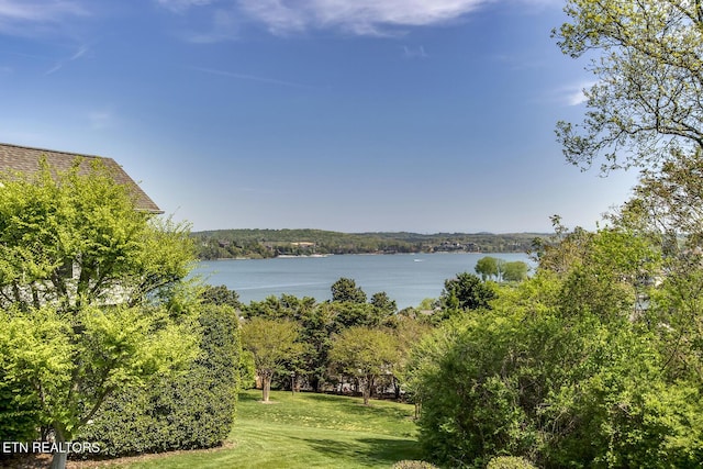 304 Coweta Ct, Loudon, TN 37774 - water view