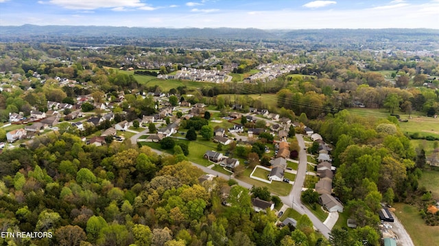 4716 Cabbage Ln, Knoxville, TN 37938 - bird's eye view