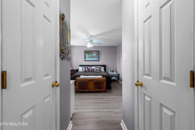 4716 Cabbage Ln, Knoxville, TN 37938 - hall featuring light wood finished floors and baseboards