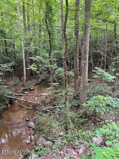 1748 Timber Trl, Cookeville, TN 38501 - photo 26