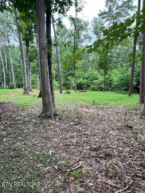 1748 Timber Trl, Cookeville, TN 38501 - photo 50
