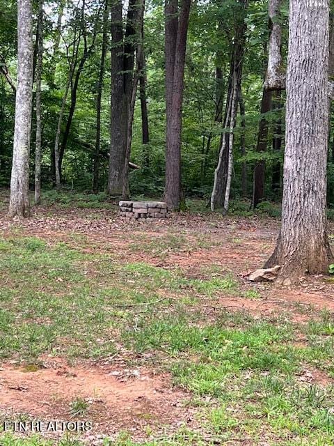 1748 Timber Trl, Cookeville, TN 38501 - photo 45