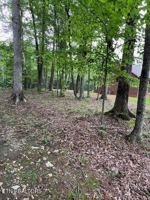 1748 Timber Trl, Cookeville, TN 38501 - photo 49