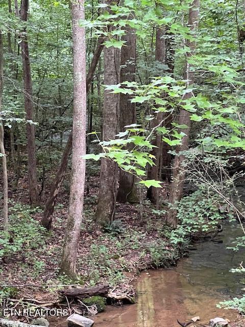 1748 Timber Trl, Cookeville, TN 38501 - photo 28
