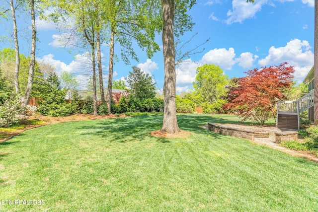 view of yard