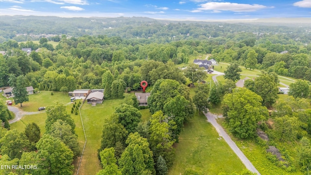 7944 Pelleaux Rd, Knoxville, TN 37938 - photo 41