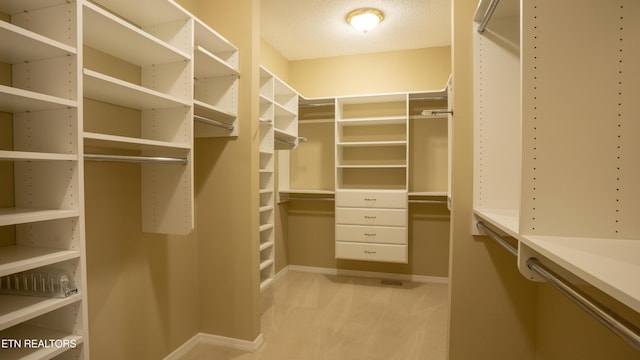 spacious closet with light carpet