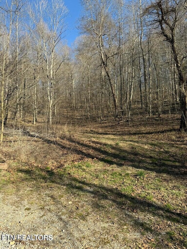 00 Jackson Ridge Rd, Tazewell, TN 37879