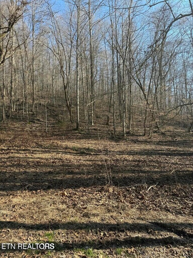 00 Jackson Ridge Rd, Tazewell, TN 37879