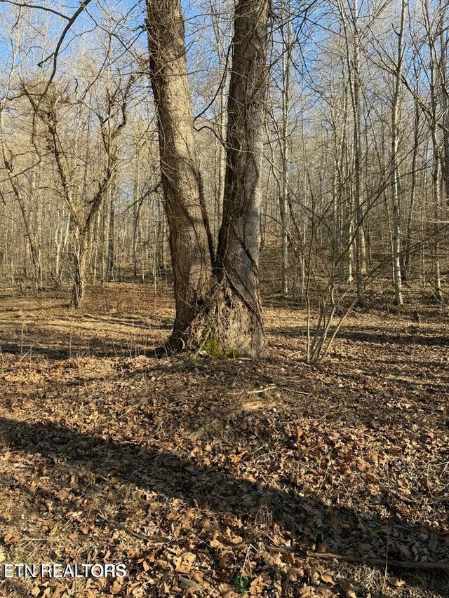 00 Jackson Ridge Rd, Tazewell, TN 37879
