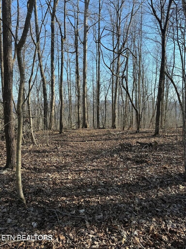 00 Jackson Ridge Rd, Tazewell, TN 37879