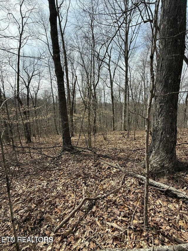 00 Jackson Ridge Rd, Tazewell, TN 37879