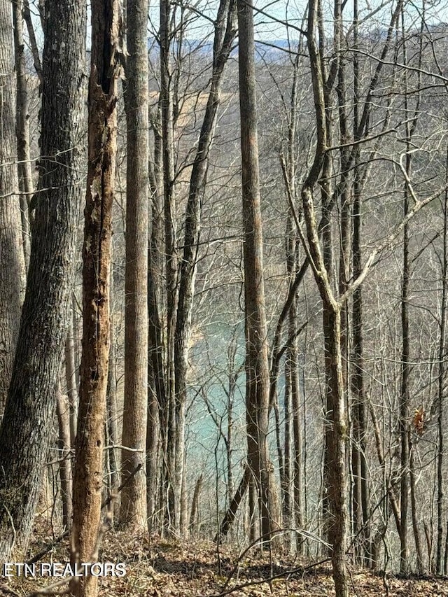 00 Jackson Ridge Rd, Tazewell, TN 37879