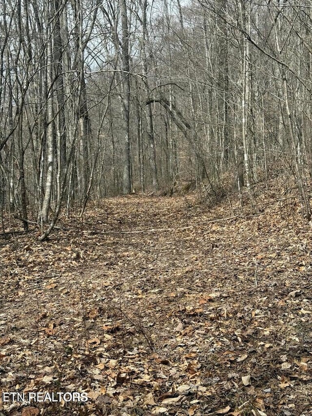 00 Jackson Ridge Rd, Tazewell, TN 37879