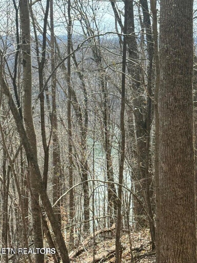 00 Jackson Ridge Rd, Tazewell, TN 37879