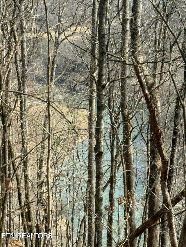 00 Jackson Ridge Rd, Tazewell, TN 37879