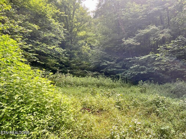 00 Jackson Ridge Rd, Tazewell, TN 37879
