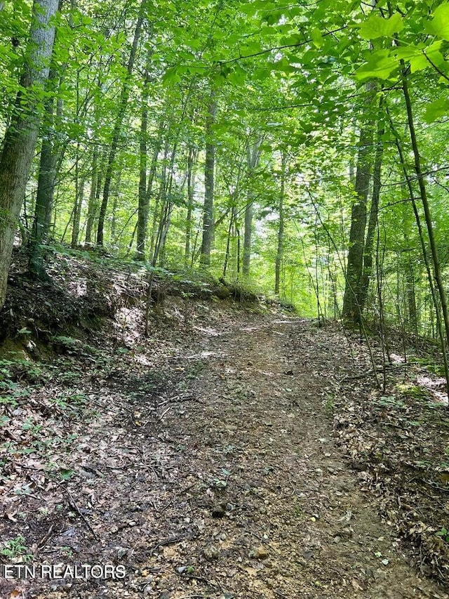 00 Jackson Ridge Rd, Tazewell, TN 37879