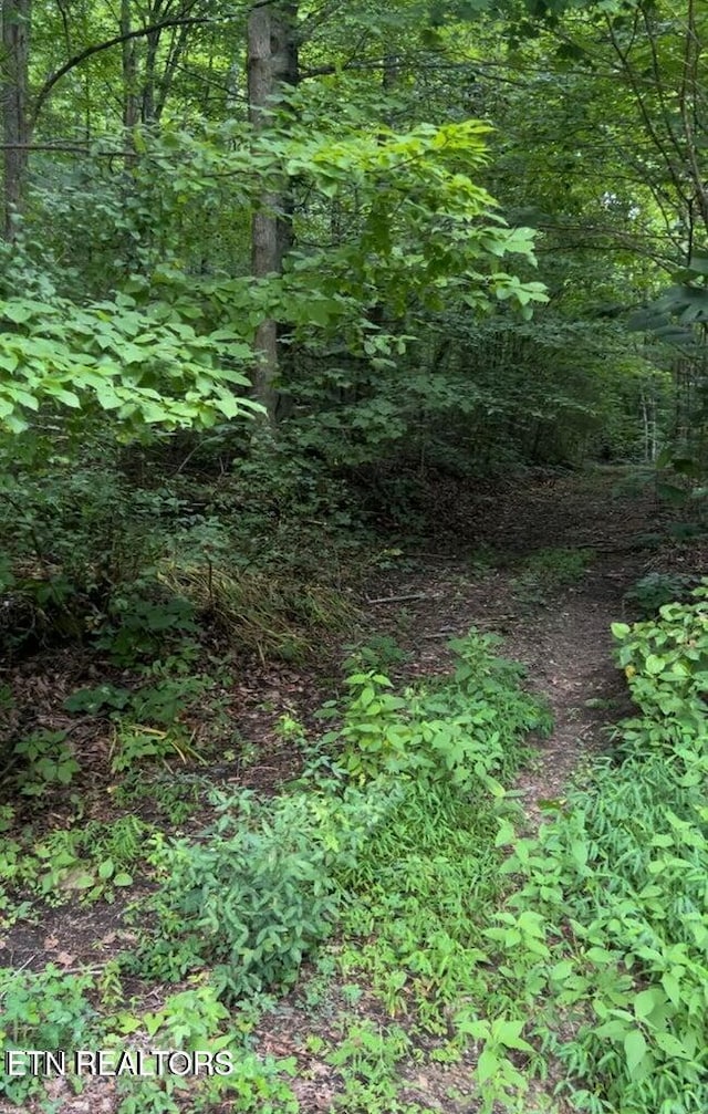 00 Jackson Ridge Rd, Tazewell, TN 37879