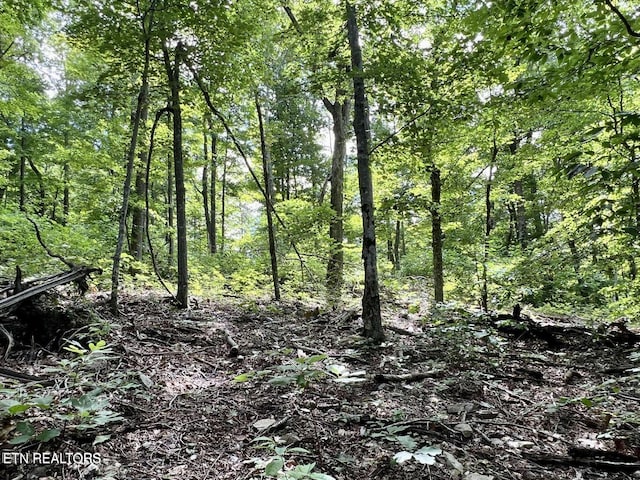 00 Jackson Ridge Rd, Tazewell, TN 37879
