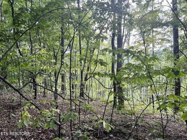 00 Jackson Ridge Rd, Tazewell, TN 37879